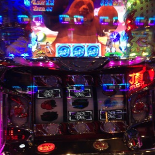 8S__2990154.jpg